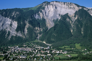 Déménageur Petit-Bourg
